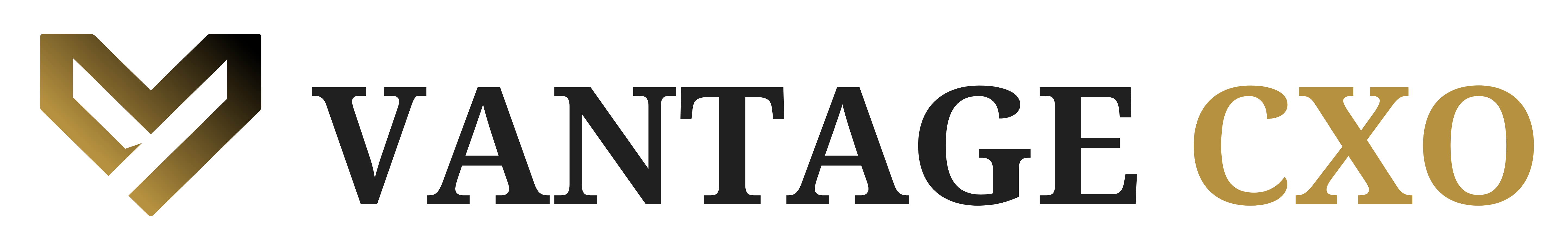 Vantage CXO
